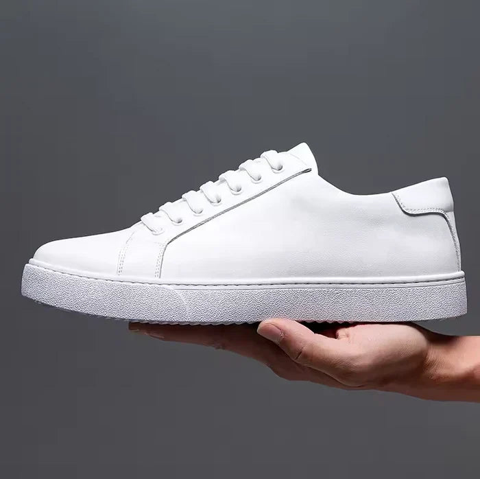 Classic Leather Shoes