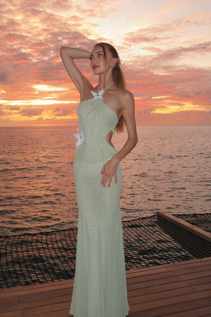 Ismeria | Willowlight Maternity Gown