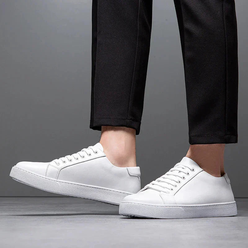 Classic Leather Shoes